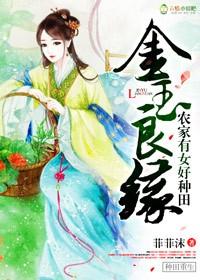 怒剑龙吟好看吗