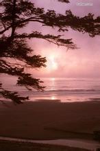 开局收女徒弟的