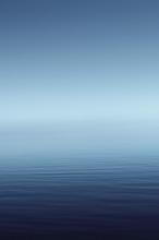 爱·开心果文集