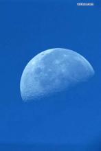 放开我babyjackson