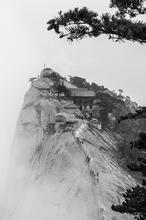 放开我baby第一季