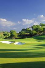 阿七的岁月文集