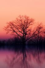 本来可以做正宫的却变成了小三