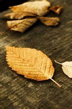 至高境界的组词