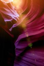 别让阳光照到我文集