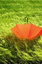 遇劫周乙前世番外