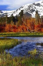 青春如期电视剧在线观看