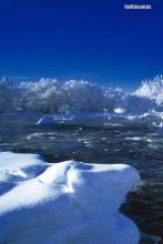 道破天穹高志柳怡免费阅读