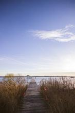 大明星的极品前夫几个女主