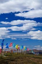 大明星的极品前夫女主有几个