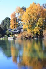 重生八零旺夫小辣妻全文阅读