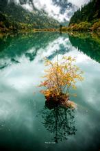 神龙令在线阅读