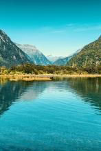 为你盛开的爱免费阅读