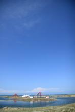 愁多焉得玉无痕文集