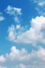 邪少凶猛女人你别太放肆免费阅读