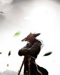 直播之武道宗师