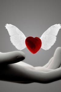 野孩子原型故事