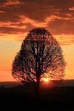 重生之我的书记人生 宝石猫