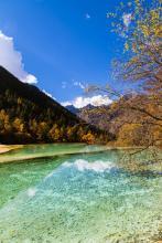 抗日之土匪军阀