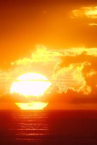 淡处味独真文集