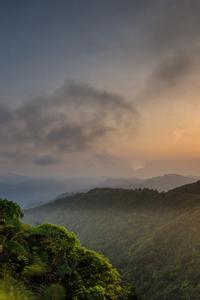 独上兰舟WYX文集