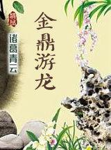 我体内有一百个大能