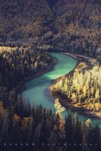 嫁了个权臣 飞雨千汀