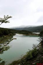 全职抽奖系统酸奶蛋炒饭