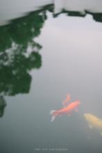 传说中的女巫文集