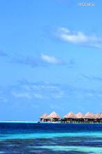 超常发挥!考的全会