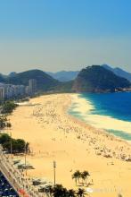 淡极始知花更艳文集