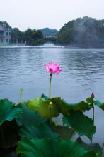 断虹QQ霁雨文集