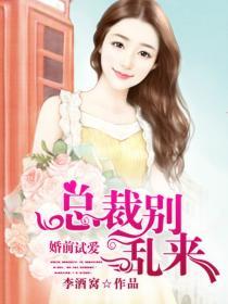 ipv4地址如何查询