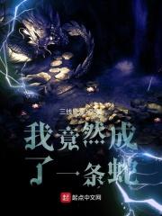 回到东汉末年张浪