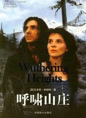 拒嫁豪门前妻太抢手 汤淼百度