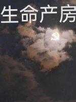 夺舍在现代全本免费阅