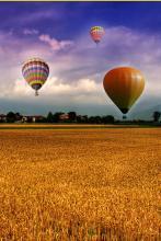 精灵之沙暴天王有女主吗