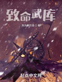 流量武道混沌果