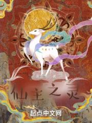 博颜科技有限公司