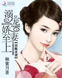 重生之顶级后卫紫锋