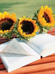 误闯豪门老公闹够了没免费阅读全文