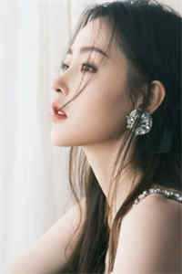 借来的总工程师