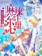 我的傻白甜老婆正版全文免费