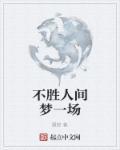 少年师爷张不狂将军