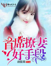 全球通缉出逃少奶奶免费阅读