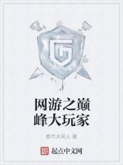 网游之巅峰大玩家