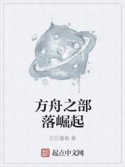 红楼之贾赦重生 作者风雪飘絮