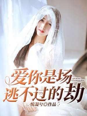 风水禁术笔趣阁