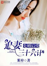 赏金集团是做什么的