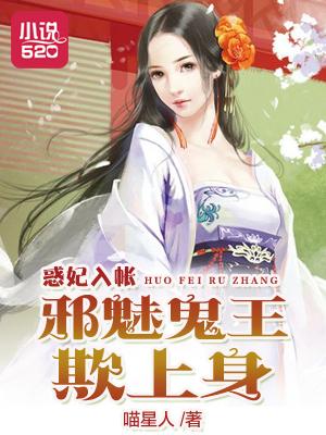 情深不归路免费阅读